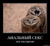 8bbxw4t52ns8.jpg