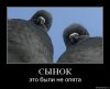 опята))).jpg