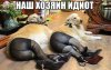 7WJuQsPU8dU.jpg