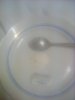 IMG_20170205_173337.jpg