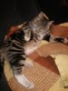 IMG_20161221_143403.jpg