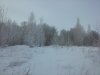 IMG_20170209_101523.jpg