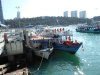 DSCN3592.JPG