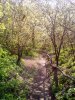 IMG_20170414_091600.jpg
