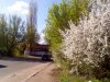 IMG_20170414_092840.jpg