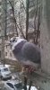 IMG_20170416_145501.jpg
