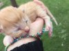 IMG-20170508-WA0000.jpg