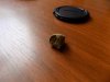 DSCN3814_500x375.jpg