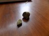 DSCN3816_500x375.jpg