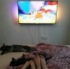 IMG_20170623_193630.jpg