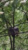 IMG_20170612_155916.jpg