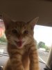 IMG-20170731-WA0006.jpg
