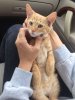 IMG-20170731-WA0003.jpg