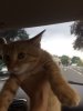 IMG-20170731-WA0007.jpg