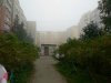 PicsArt_08-21-08.50.53.jpg