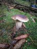 IMG-20170827-WA0004.jpg