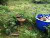 IMG-20170827-WA0006.jpg