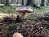 IMG-20170827-WA0009.jpg