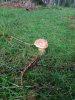 IMG-20170827-WA0007.jpg