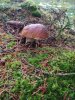 IMG-20170827-WA0010.jpg