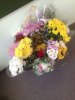 PicsArt_09-01-06.58.49.jpg