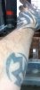 WP_20170628_003.jpg