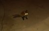 IMG_20171006_200436.jpg