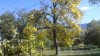 WIN_20171031_095207.JPG