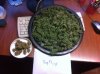 IMG_0102_842x629.jpg