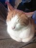 WP_20180111_001.jpg