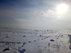 IMG_20180303_142146.jpg