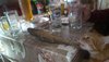 IMAG7837.jpg
