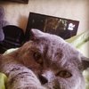 Безымянный.jpg