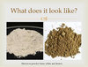heroin-in-powder-photo.jpg