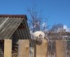 IMG_20180329_132242.jpg