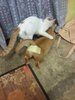 IMG-20171026-WA0008.jpg