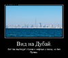 demotivatorium_ru_vid_na_dubaj_62122.jpg