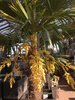 117F0825-3E24-4ADE-8CF4-CA31744EBD81.jpeg