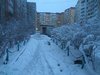IMG_20180424_204441.jpg