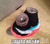 IMG-20170928-WA0001.jpg