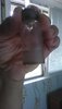 20180512_130309.jpg