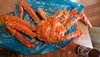 20180505_141822.jpg