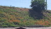 20180522_101128.jpg
