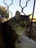 20180526_184503.jpg