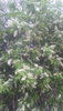IMG_20180601_205334.jpg