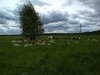 IMG_20180608_113751.jpg