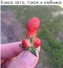 IMG-20170601-WA0006.jpg