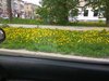 IMG_20180609_121616.jpg