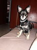 20180619_100825.jpg