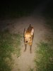 IMG_20180513_215326.jpg